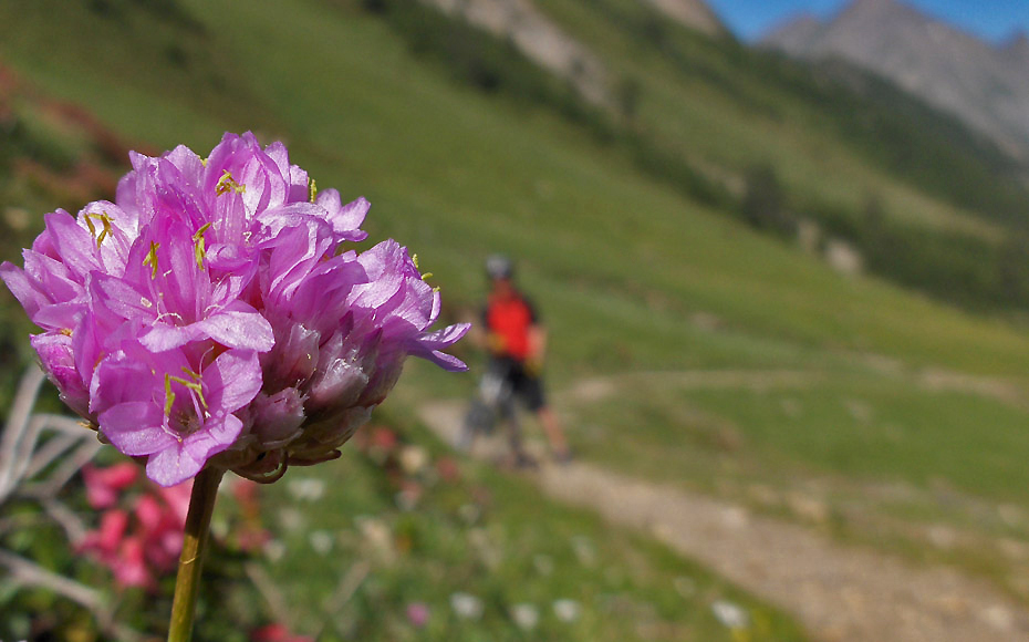 alpencross-pfunderer-joch