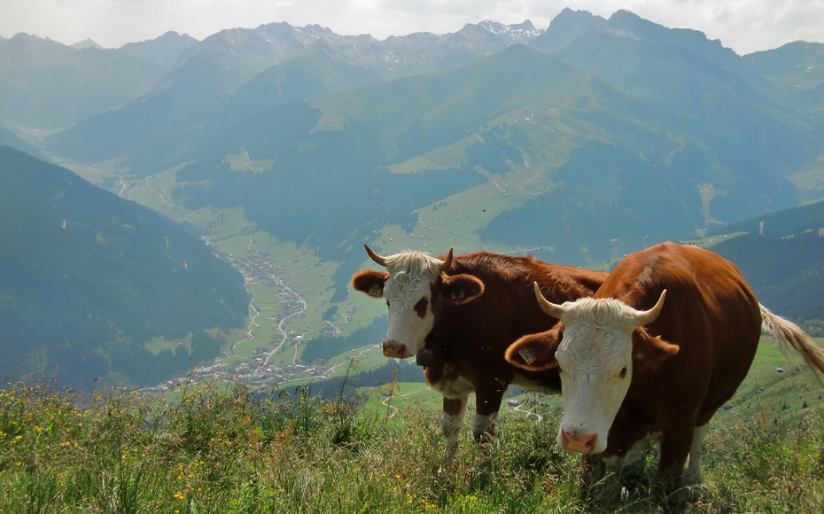 alpenx-penkenjoch