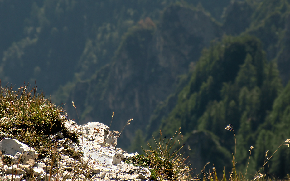 alpencross-monte-roen