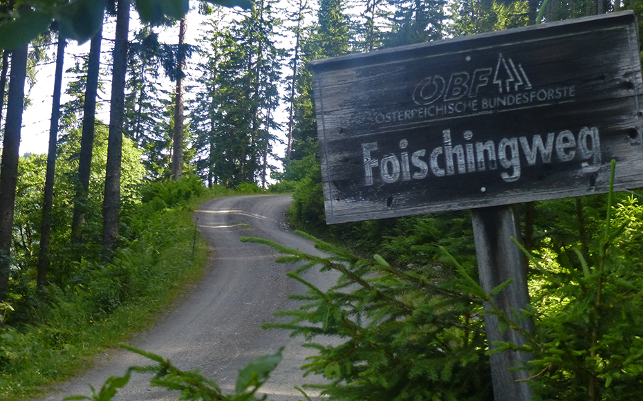 filzenscharte