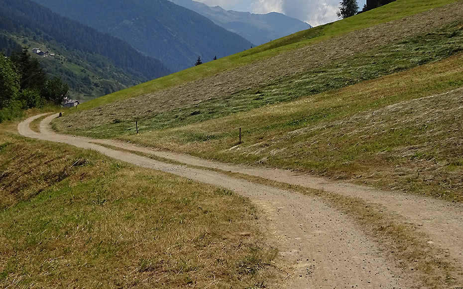 rifugio-orso-bruno