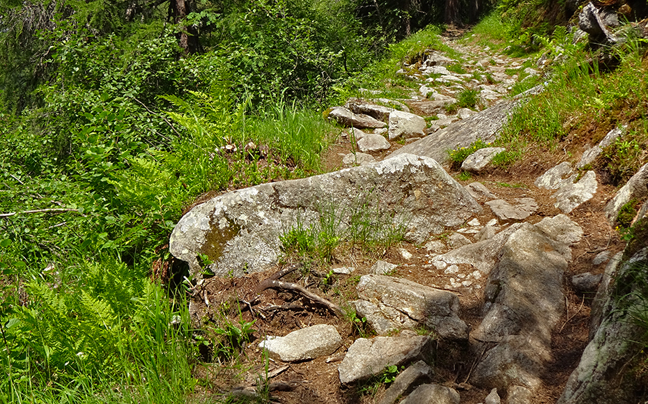 rifugio-orso-bruno