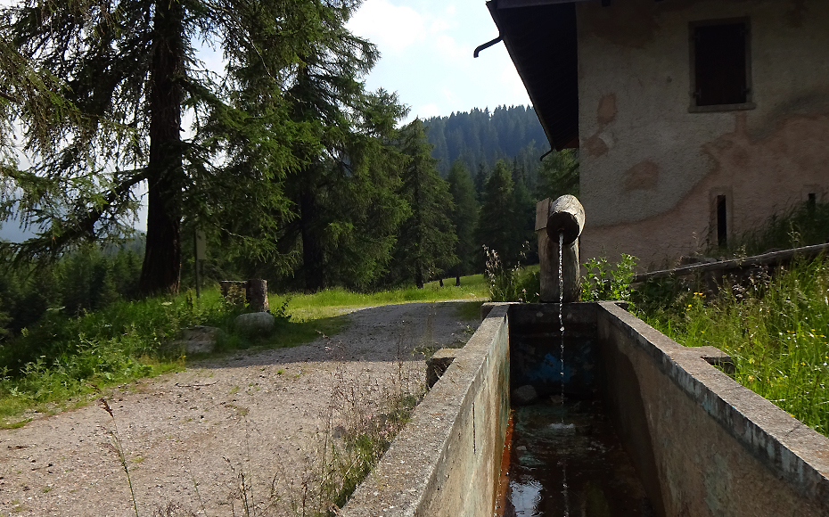 rifugio-orso-bruno