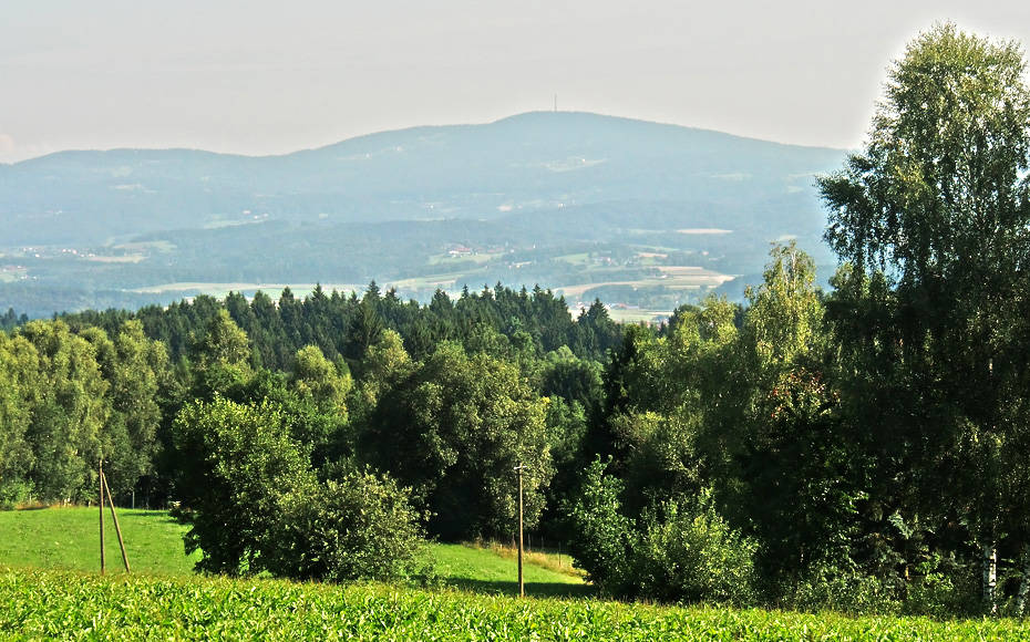 mtb-tour-breitenauriegel-geißkopf