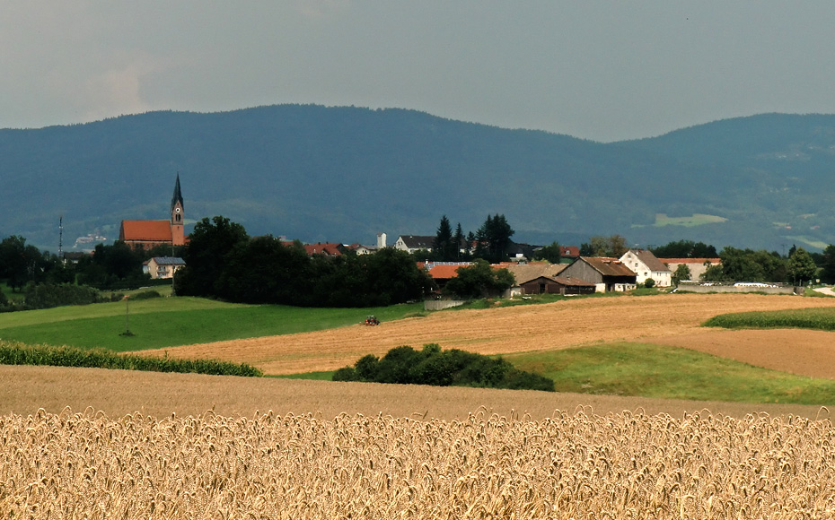 mtb-tour-breitenauriegel-geißkopf