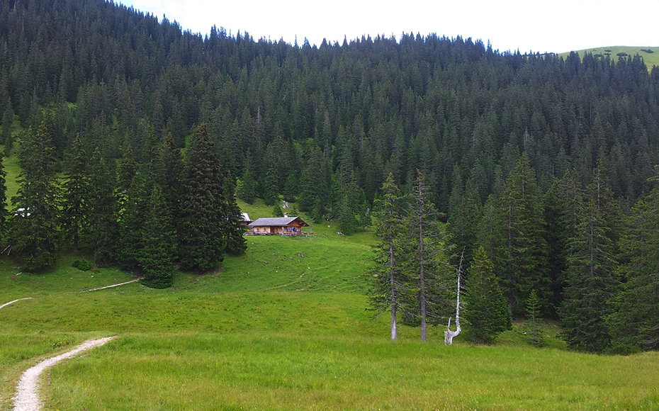 mtb-tour-enningalm-trail