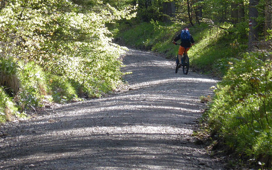 mtb-tour-trainsjoch-runde