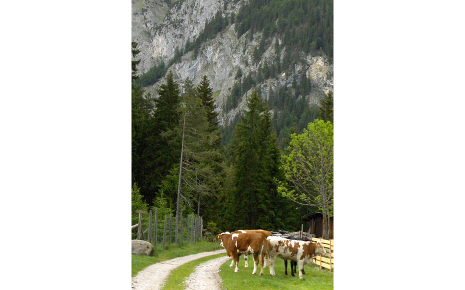 mtb-tour-zugspitz-runde