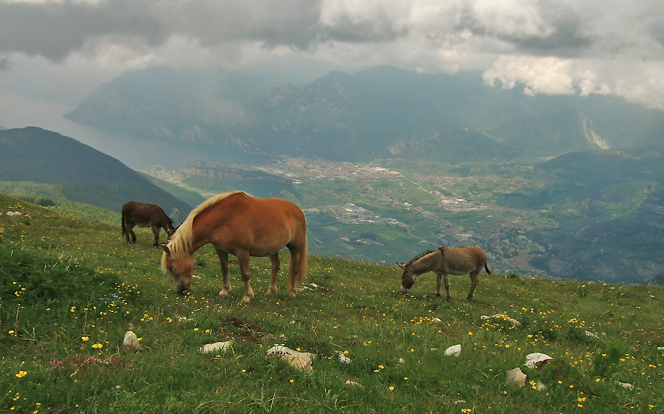 mtb-tour-torbole-monte-stivo