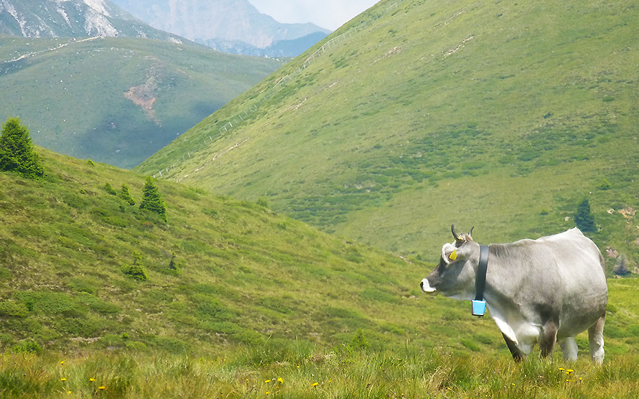 mtb-tour-kreuzjoch