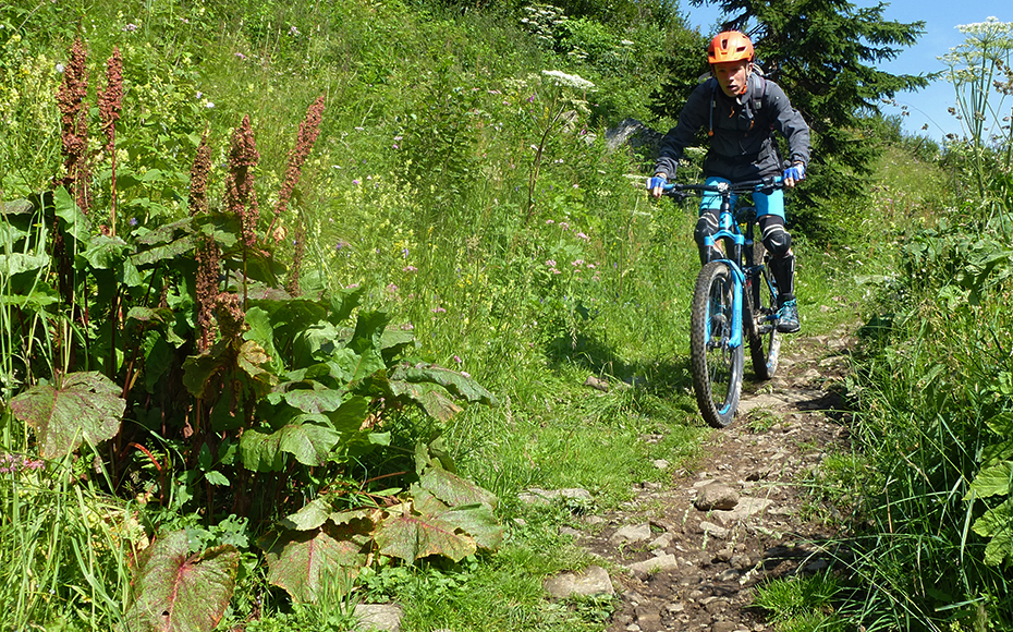 mtb-tour-passo-padon