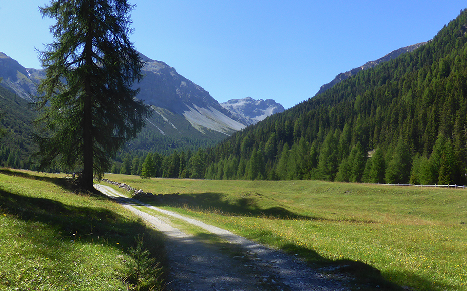 mtb-tour-val-mora