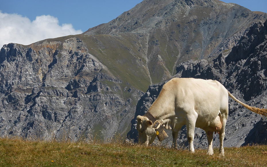 mtb-tour-val-mora