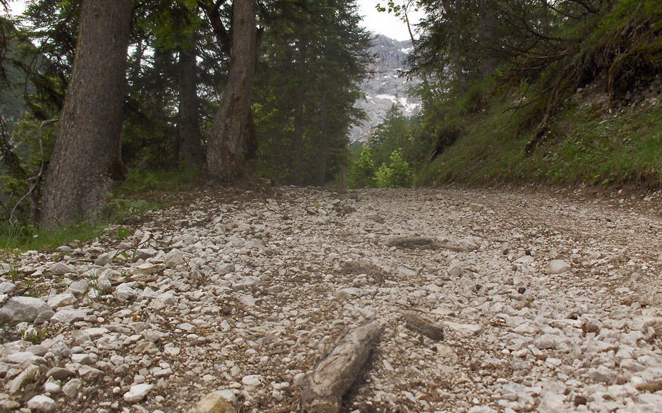 mtb-tour-halleranger-haus